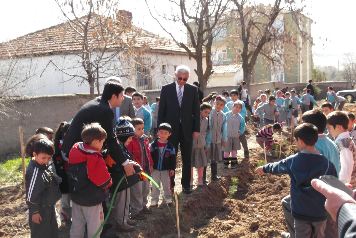 Kaymakam Öğrencilerle Fidanı Dikti