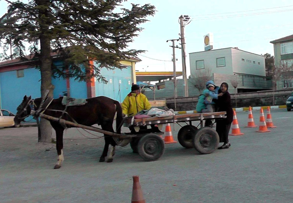 Ambulans Yerine At Arabasıyla Taşıdı