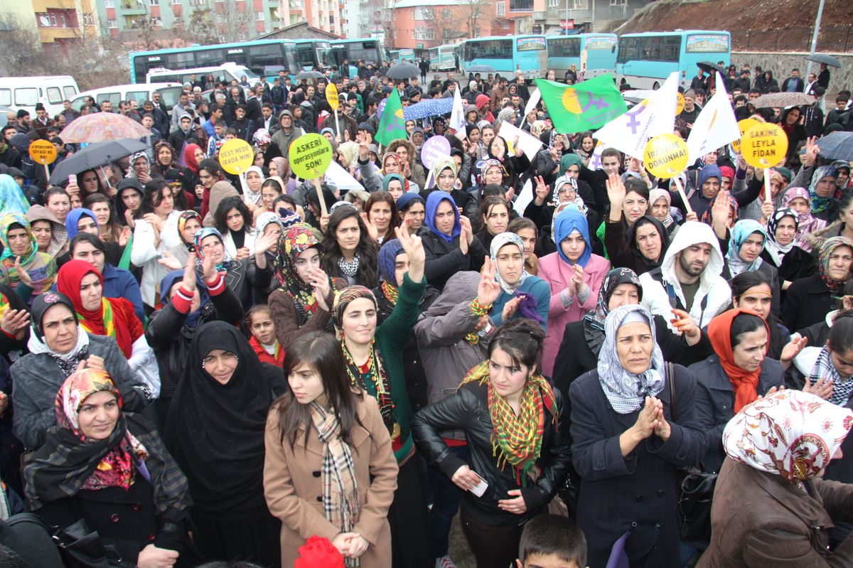 Emine Ayna\'dan \'Çözüm Süreci\' Açıklaması