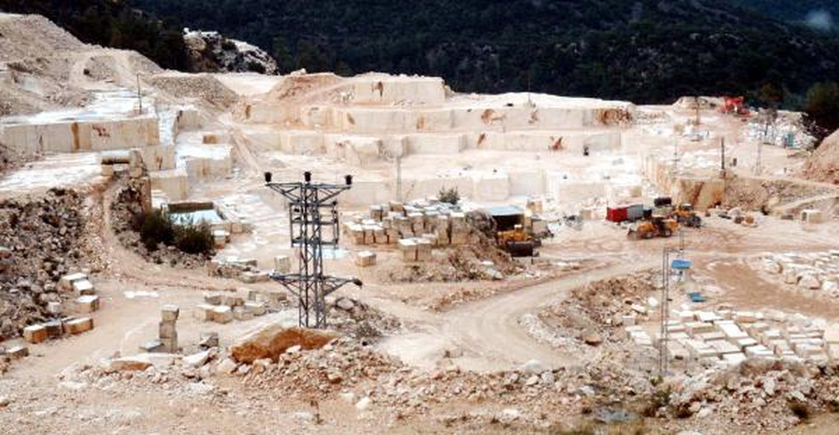 Finike\'deki Orman Katliamı İddiasını Bilirkişi İnceleyecek
