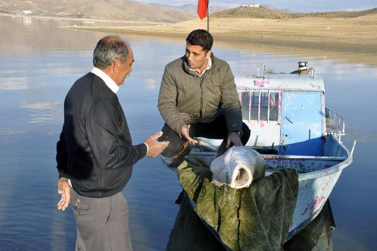 Keban Baraj Gölü\'nde Turna Bereketi