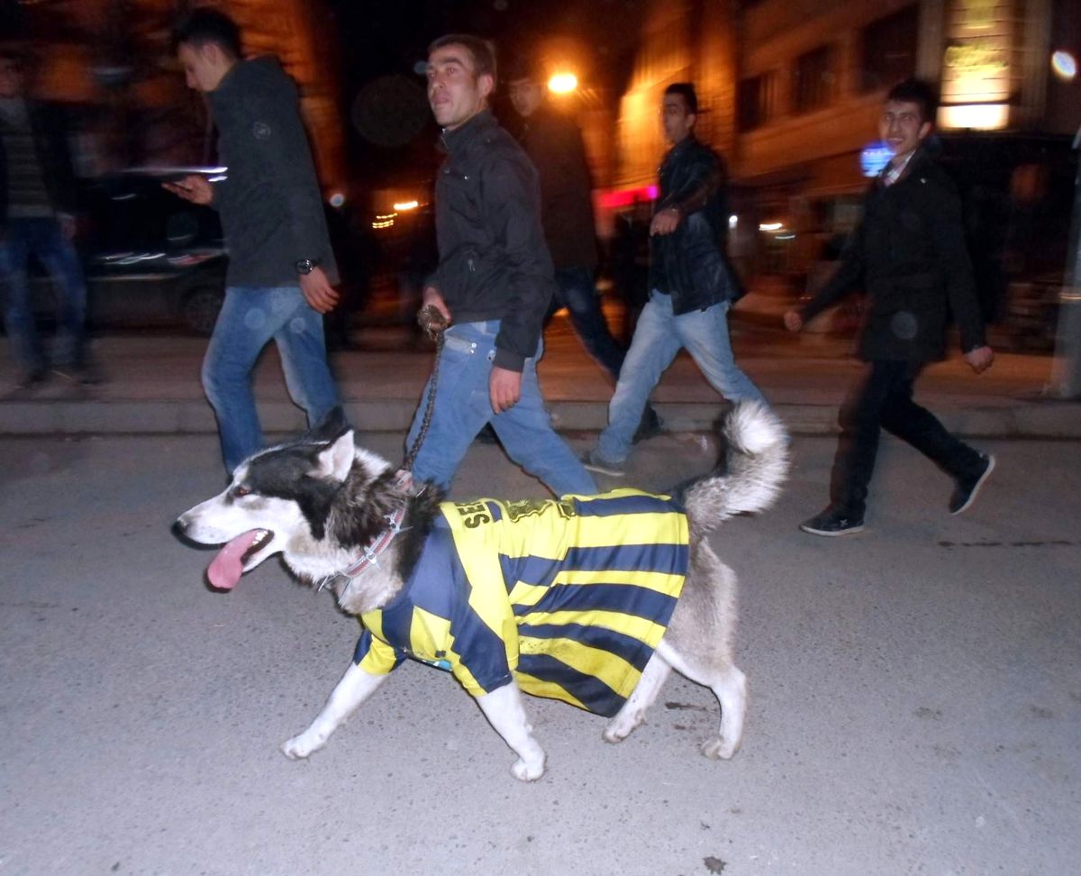 Van\'da Fenerbahçelileri Kızdıracak Görüntü