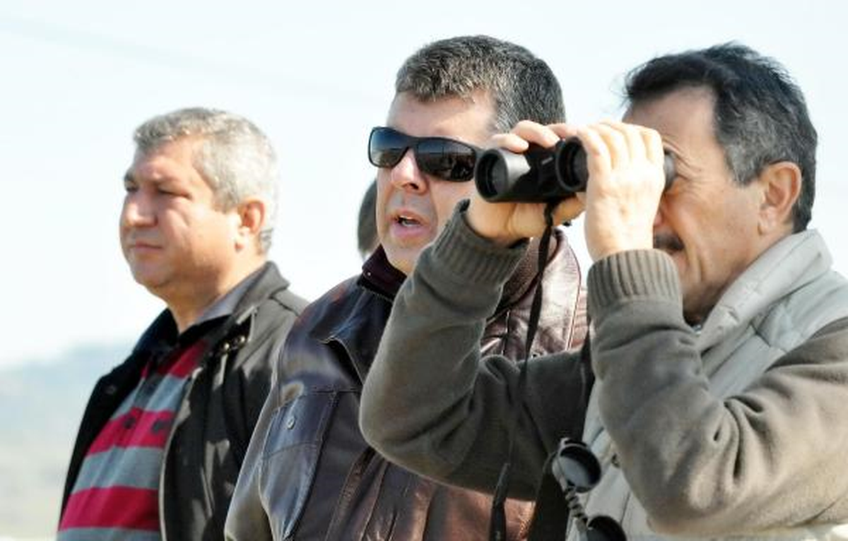Yaralı Flamingolar İçin Soruşturma