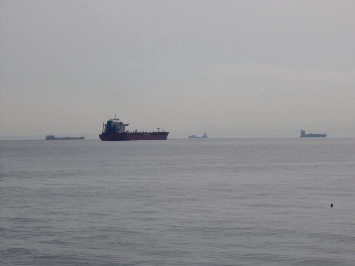 Yük Gemileri Şarköy Açıklarına Demir Attı