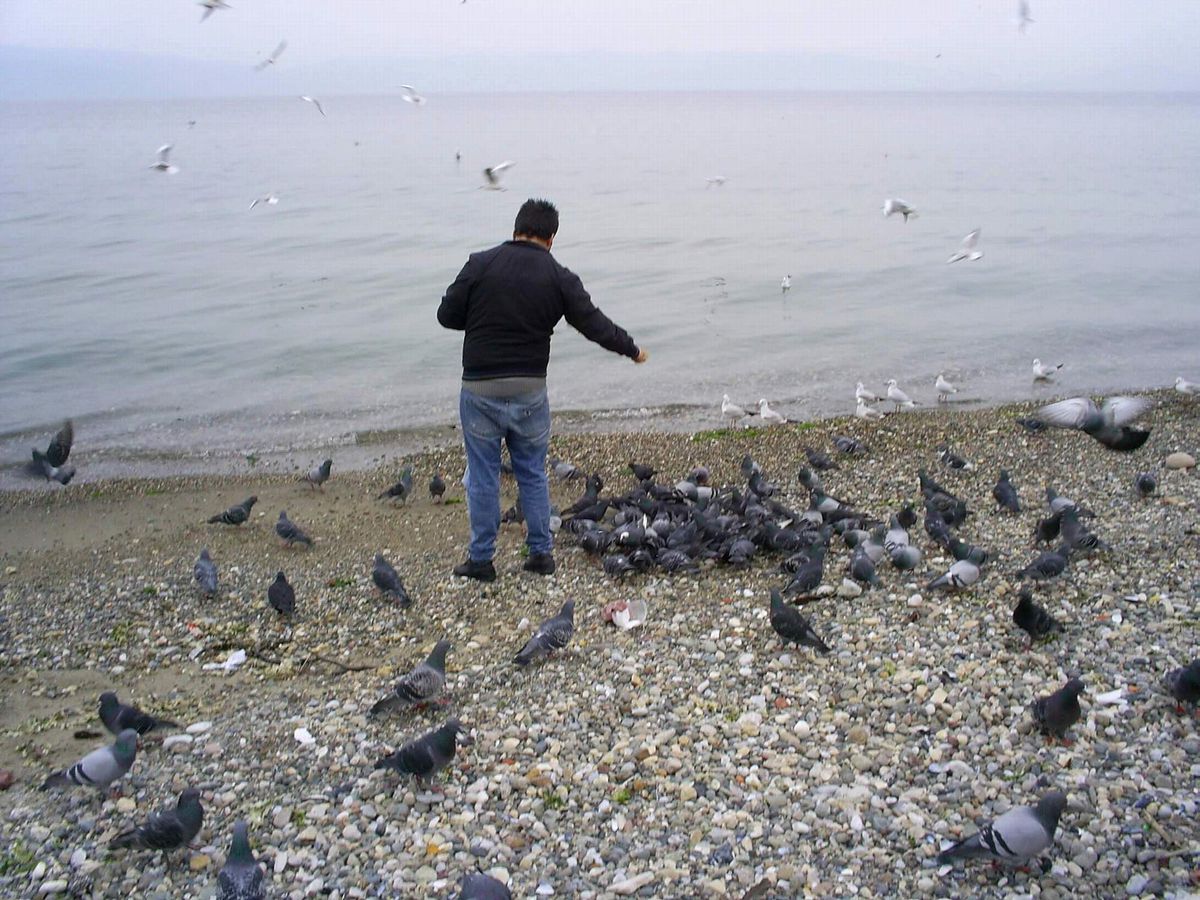 Bayat Ekmekler İsraf Olmadı