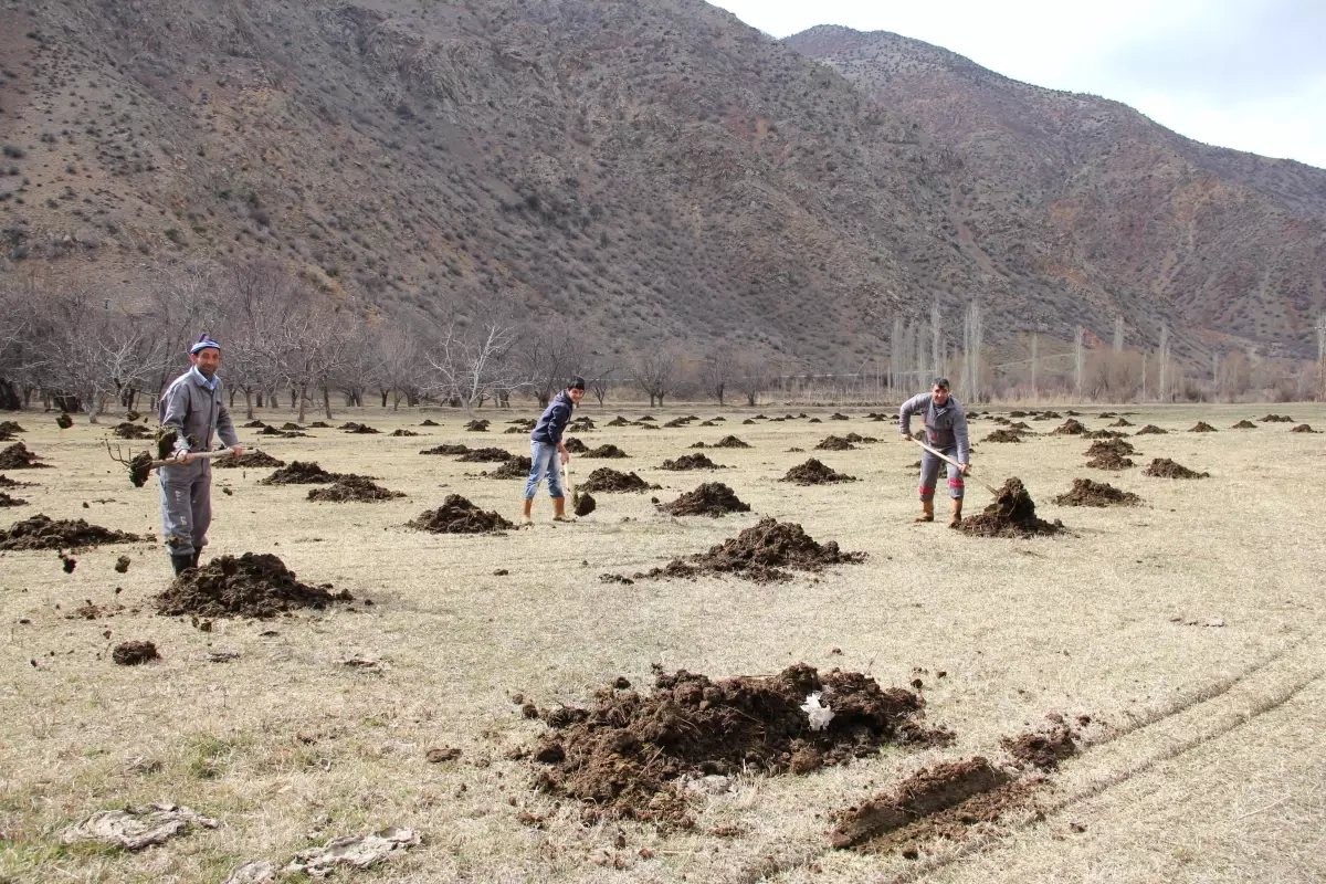 Çiftçiler Bahar Gübrelerini Bahçelere Attılar