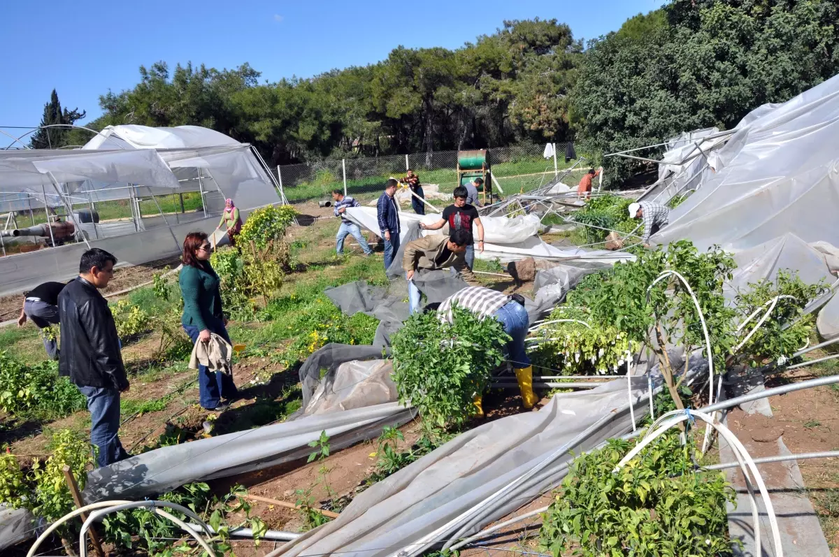 Hortum Islah Serasını Yıktı Geçti