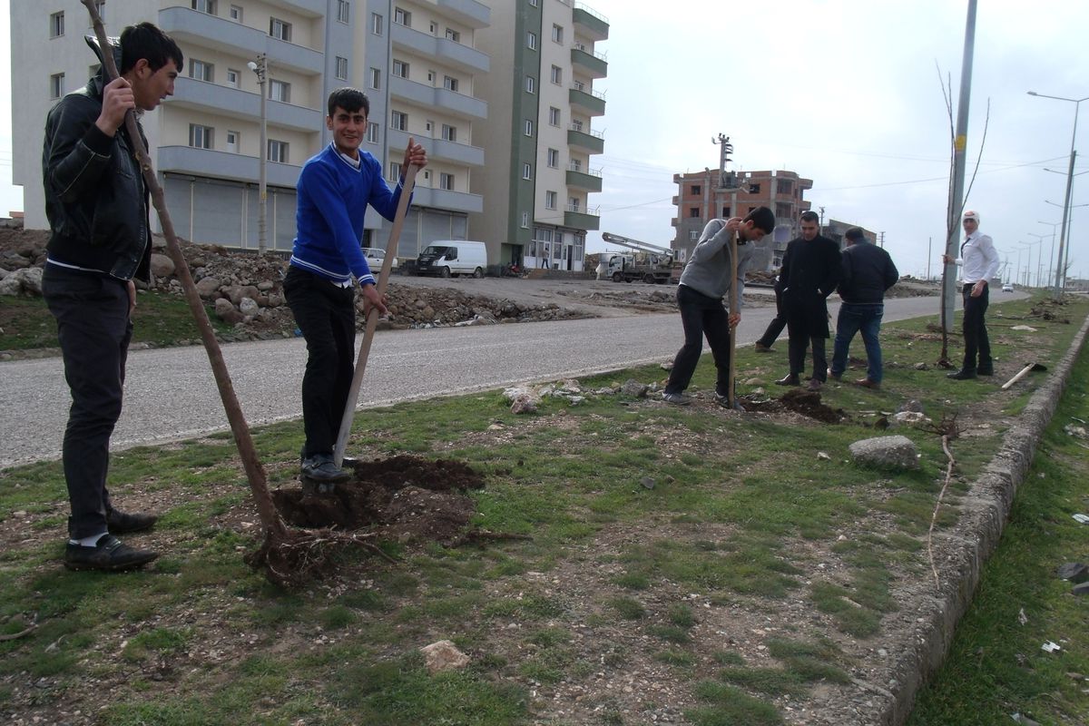 İdil\'de Ağaç Dikme Kampanyası