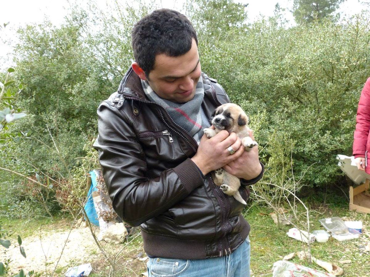 Sakarya\'da Canbes Etkinliği