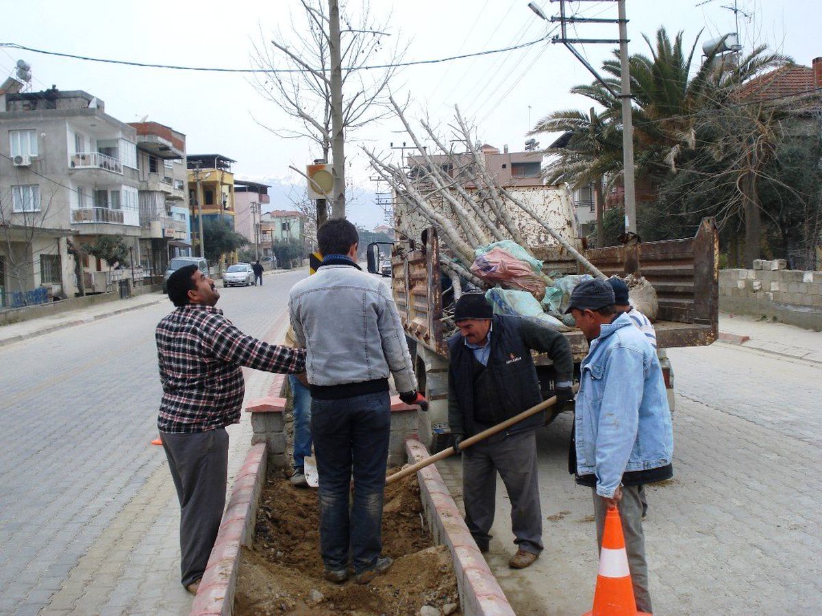 Sarıgöl Belediyesi Ağaç Dikimine Başladı