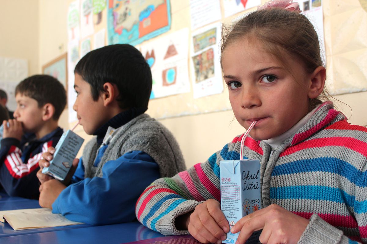 Şiran\'da Okul Sütü Dağıtımına Devam Ediliyor