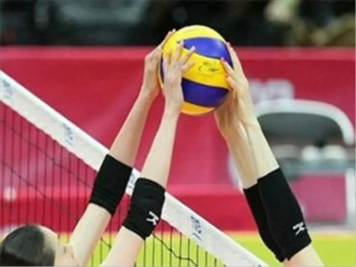 Voleybol: Avrupa Kupaları
