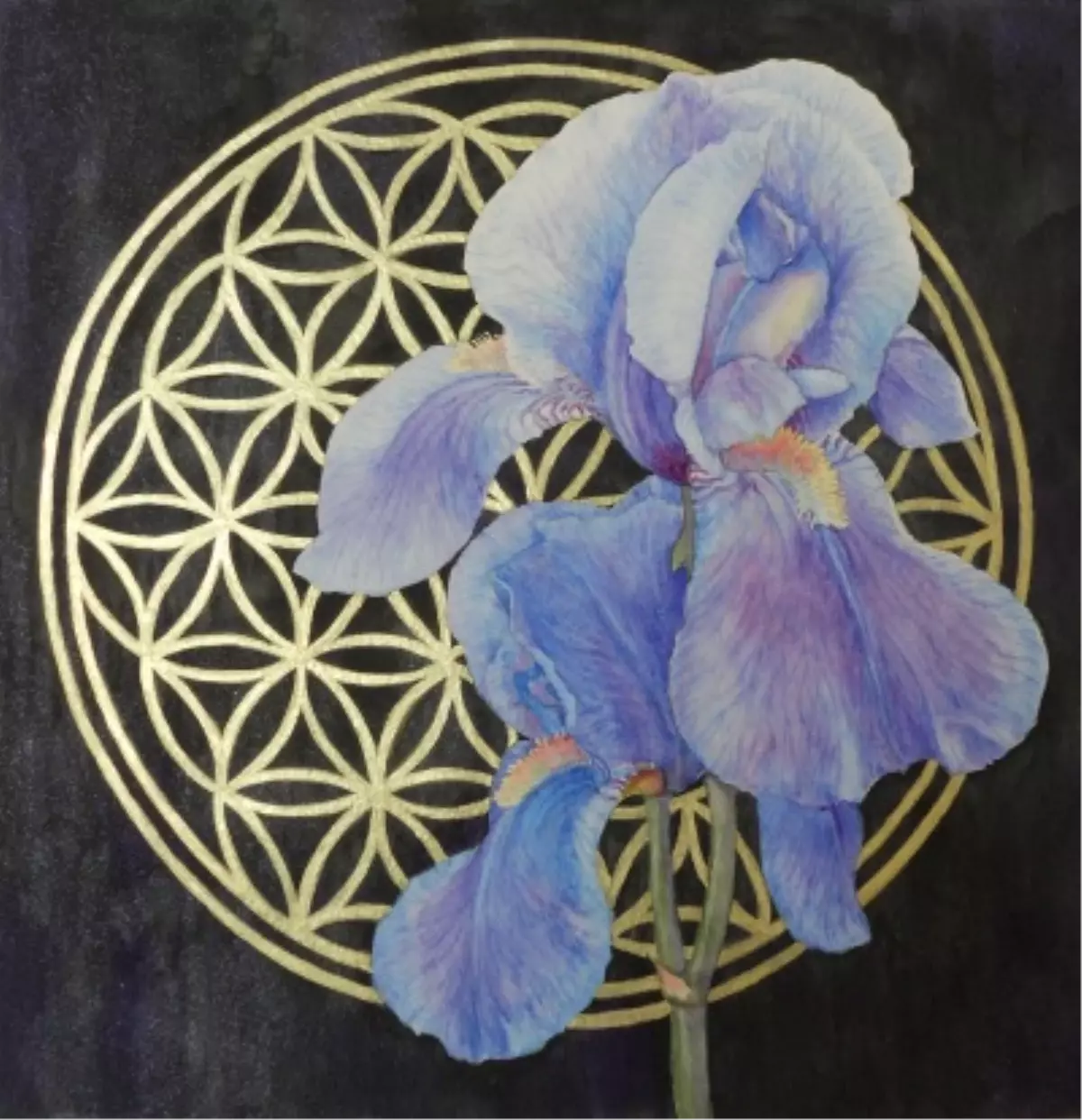 Yaşam Çiçeği / Yaşayan Çiçek Resim Sergisi