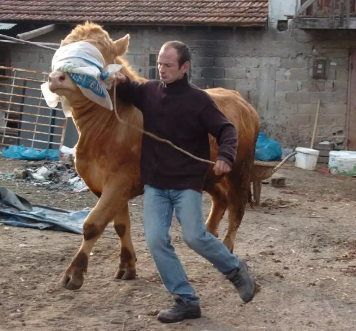"Oğlum Bak Git" İlk Kez Konuştu