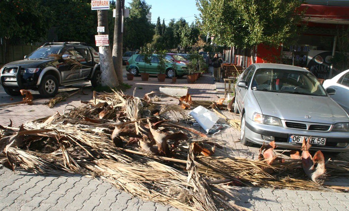 Rüzgar, Hayatı Felç Etti