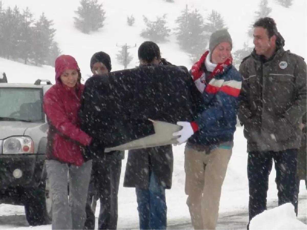 Tedavi Edilen Kaya Kartalı Artık Uçabilecek