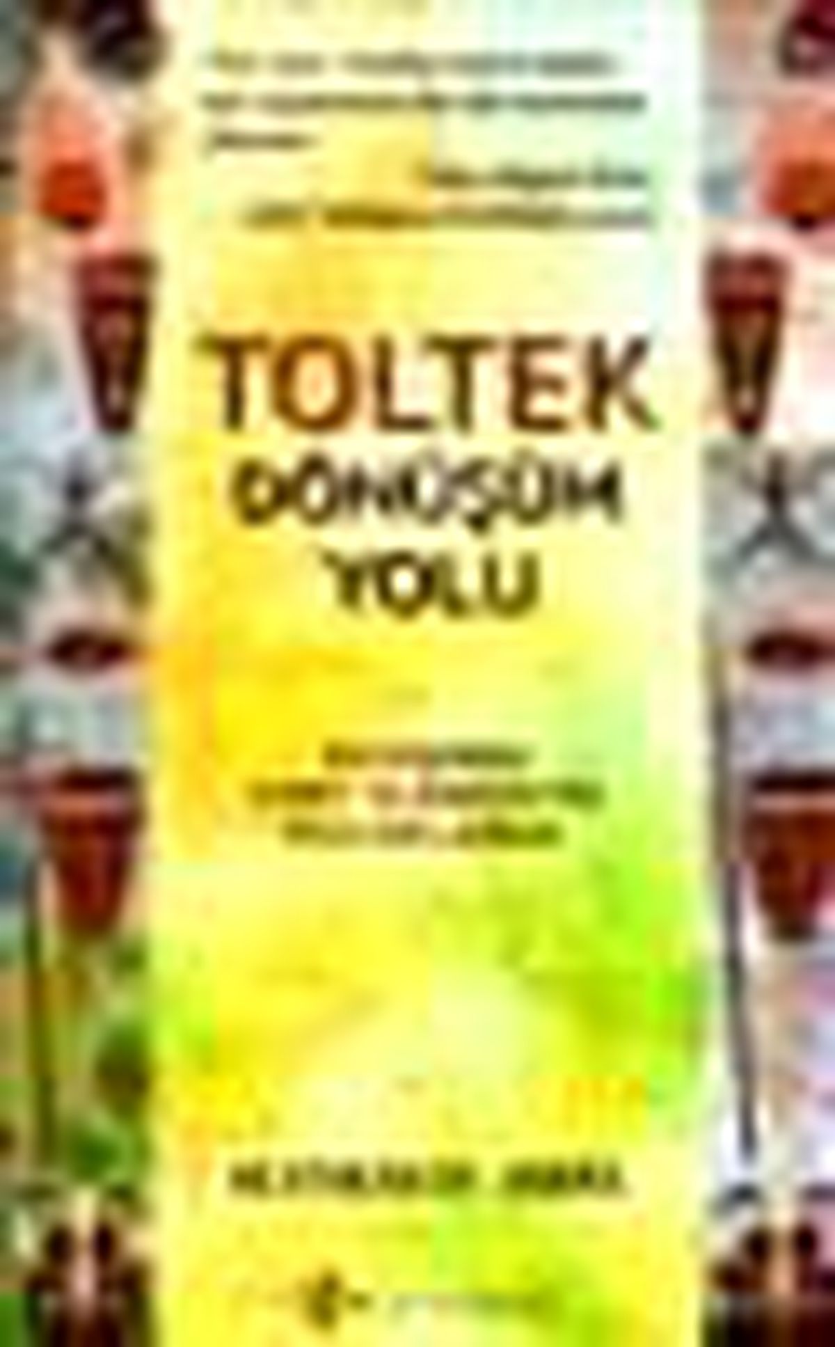 Toltek: Dönüşüm Yolu Kitabı