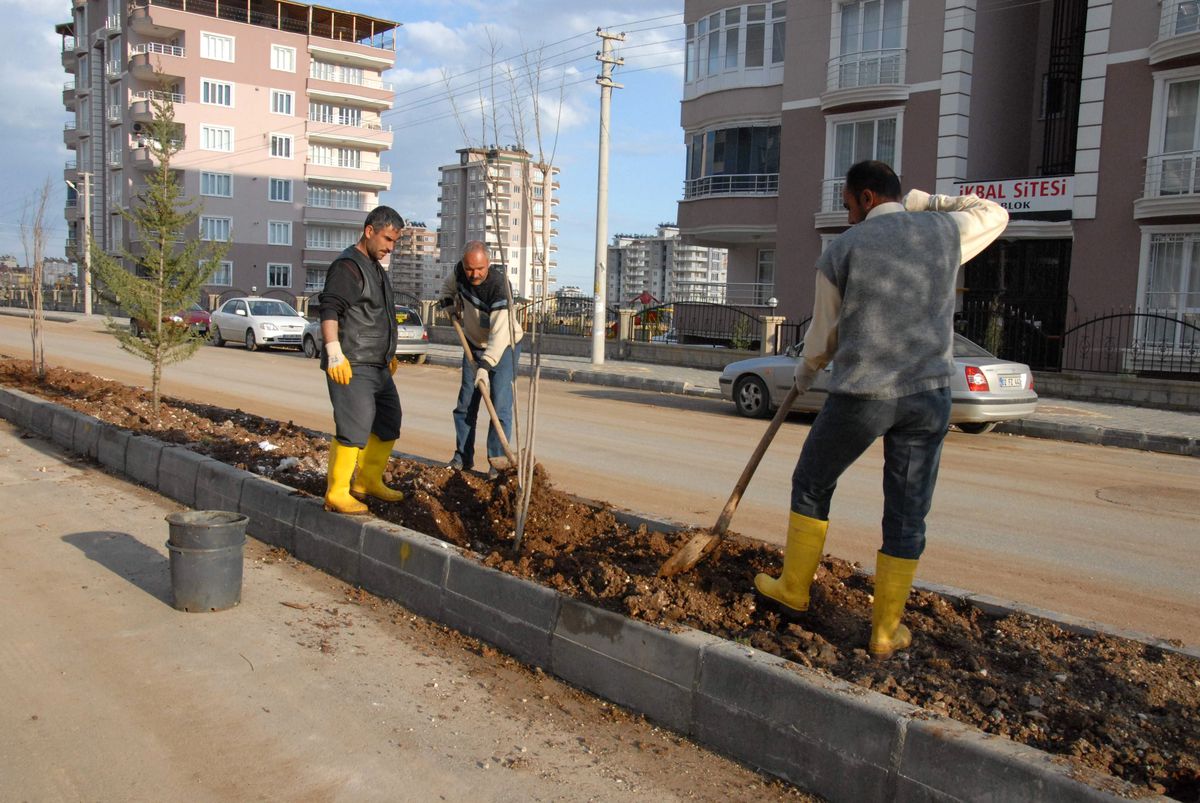 3. Çevre Yolunda Peyzaj Çalışması