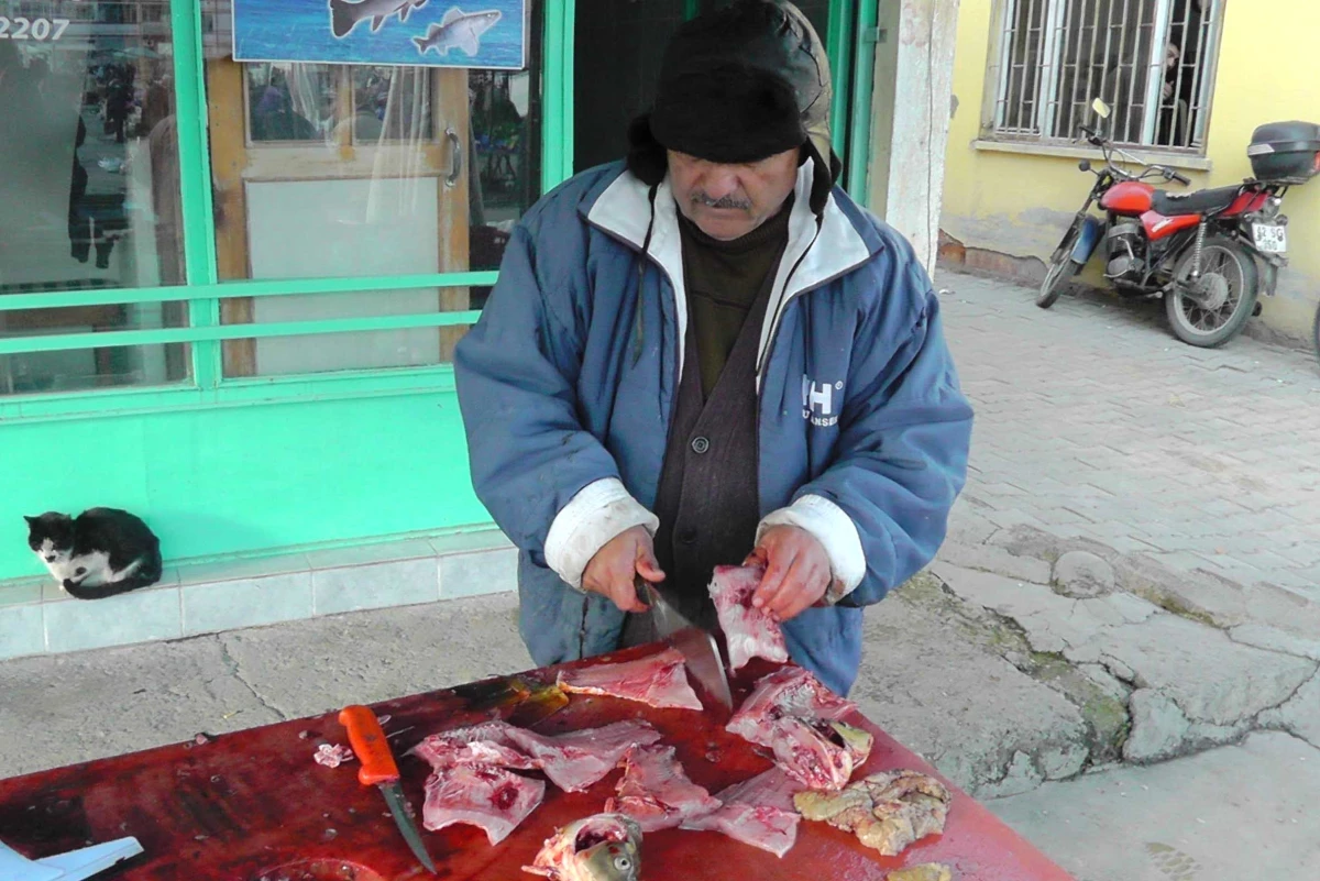 Balıkların Eti Müşteriye, İç Organları Hayvanseverlere