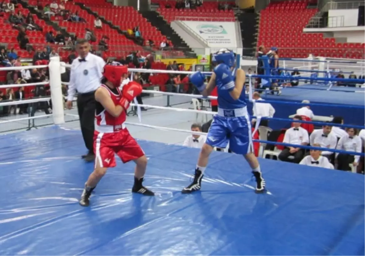 Bayan Boksörler, Ringe Çıkıyor