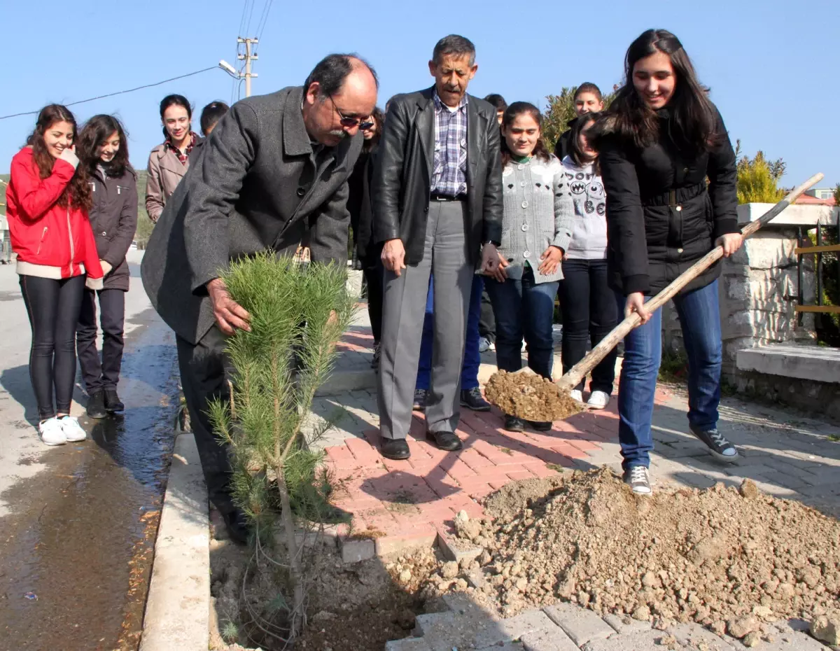 Bergama\'da Lise Öğrencileri Fidan Dikti