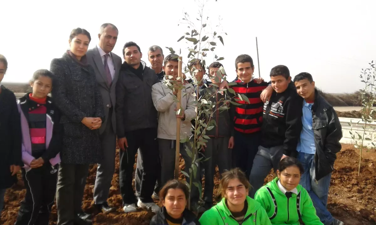 Günbalı İlkokul ve Ortaokulu Yeşile Büründü