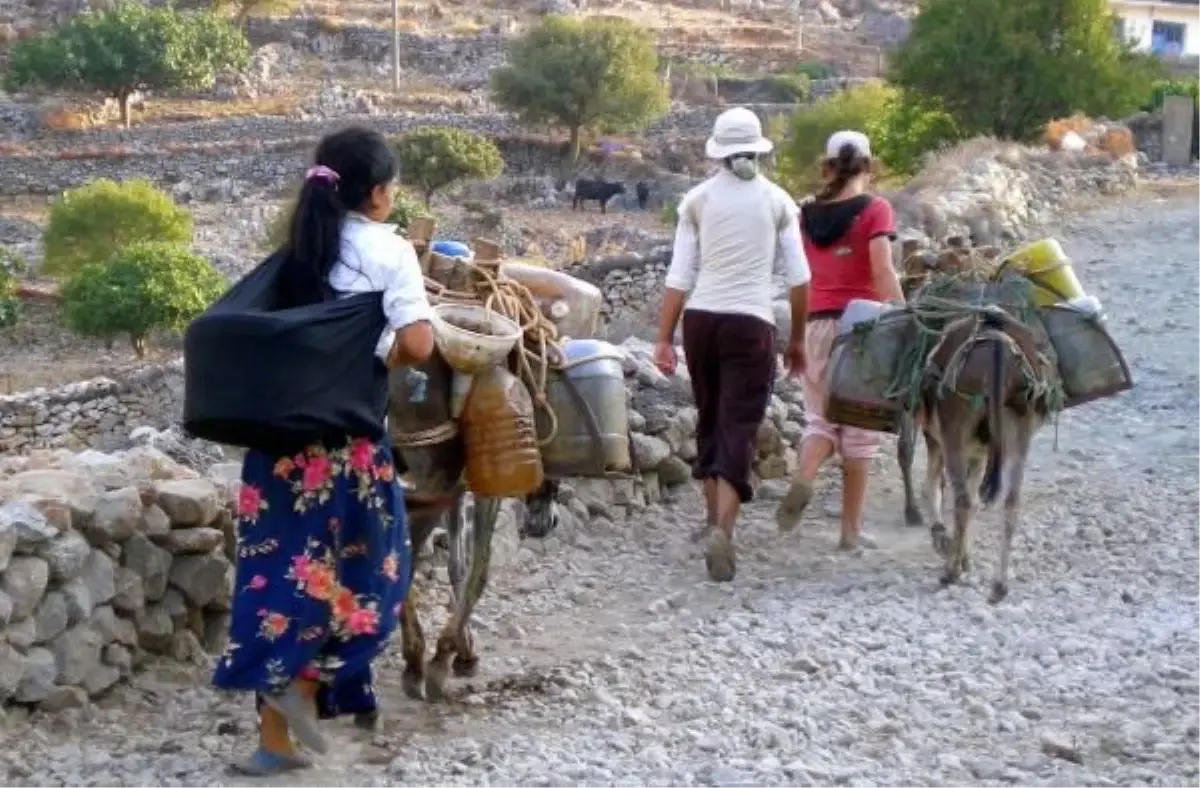 Marmaris Eşek Sütü Yatağan\'da Bir Numara Eşek Sütü Yatağan\'da Bir Numara