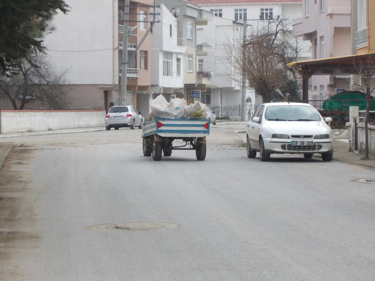 Pırpırlar Trafik Kazalarına Neden Oluyor