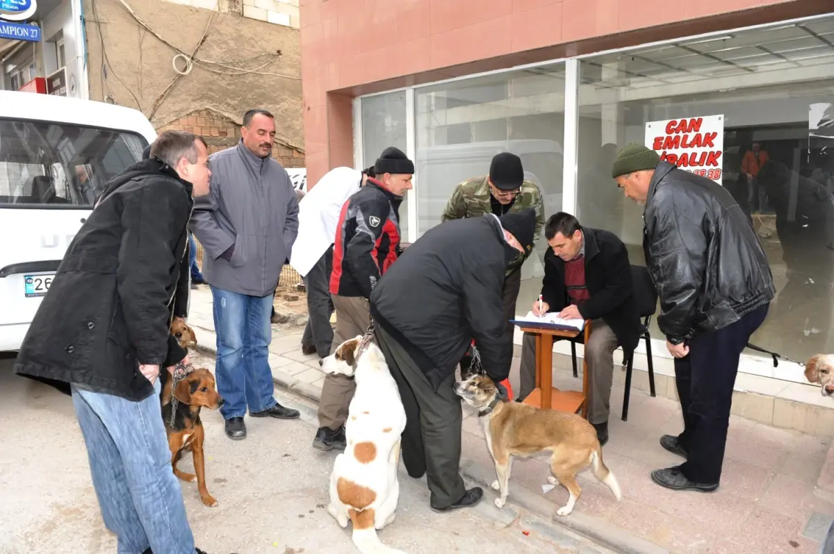 Bozüyük\'te Köpeklere Ücretsiz Kuduz Aşısı Kampanyası