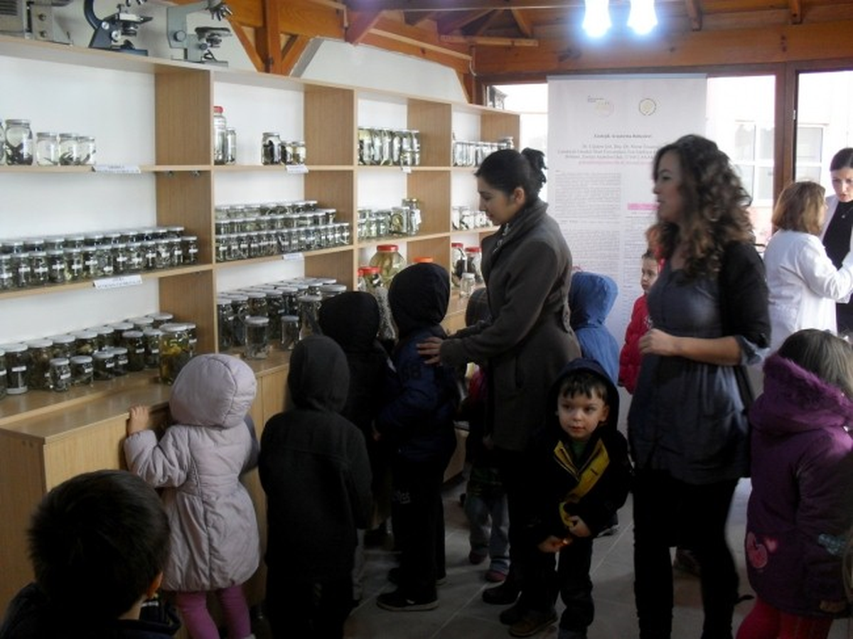 Minikler Zooloji Müzesi\'ni Gezdi