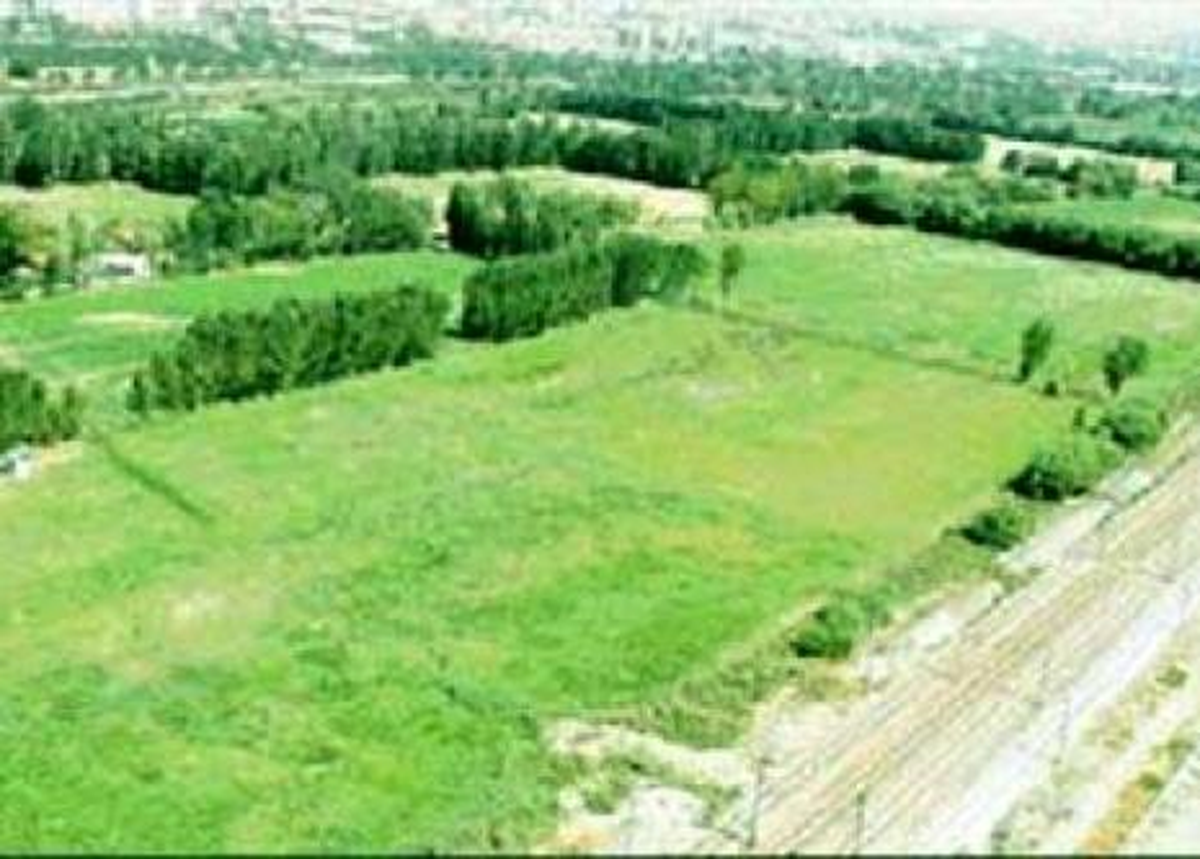 Atatürk Orman Çiftliği İmara Açıldı!