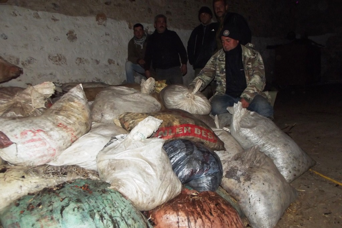 Ayvalık\'ta Başak Zeytincisine Şafak Operasyonu