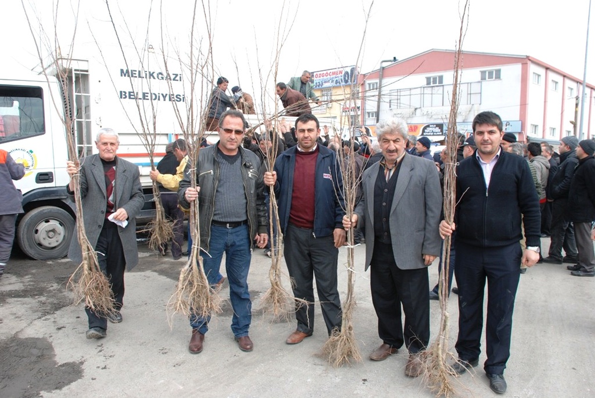 Melikgazi\'de 10 Bin Meyve Fidanı Dikildi