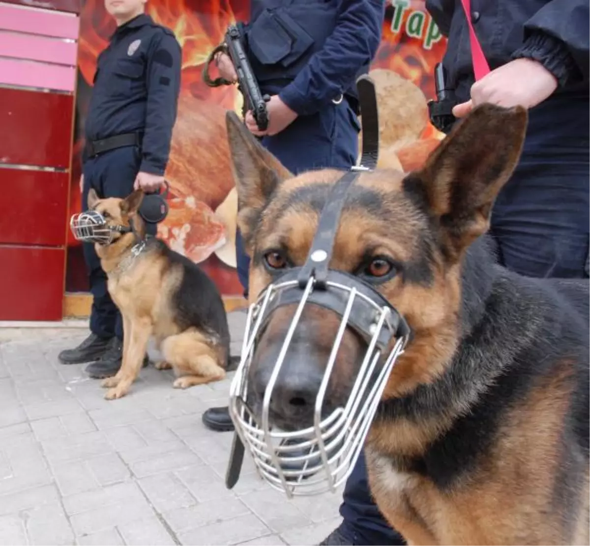 \'Babi\' ve \'Biber\'in Görevi Toplumsal Olaylar