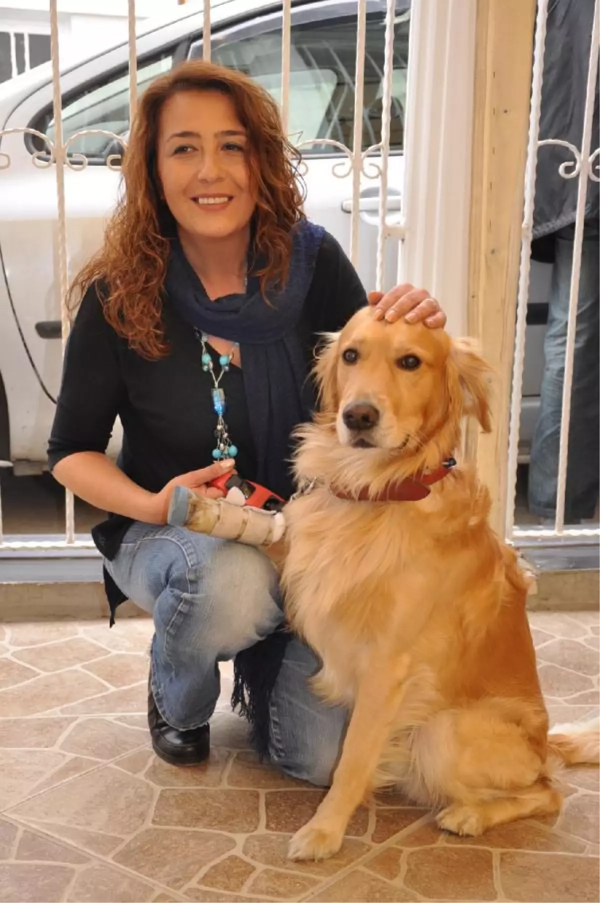 Eskişehir\'de 2 Köpeğe Protez Ayak ve Yürüteç Takıldı