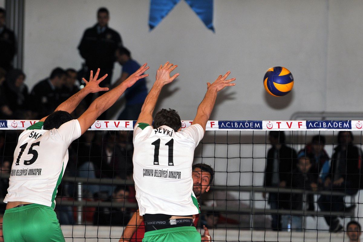 Voleybol Erkekler Ligi