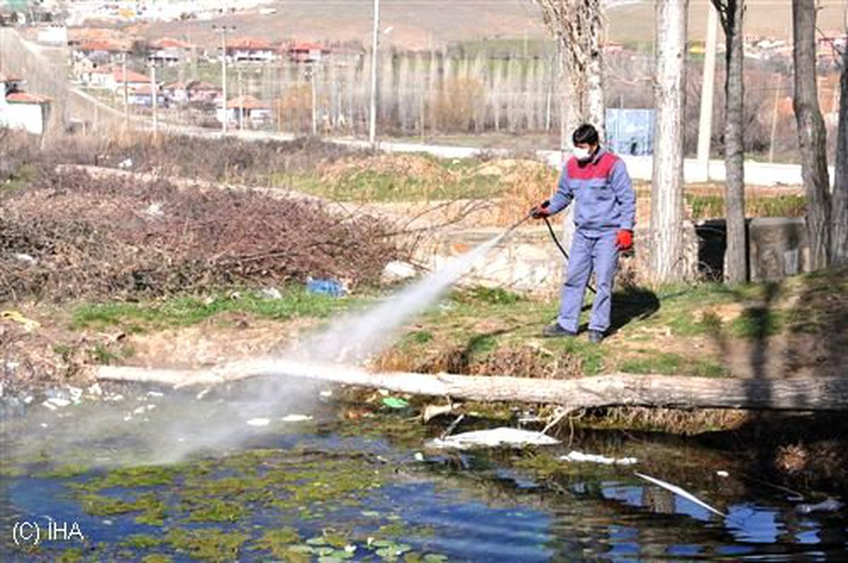 Yeni Dönem İlaçlama Faaliyetleri Başladı