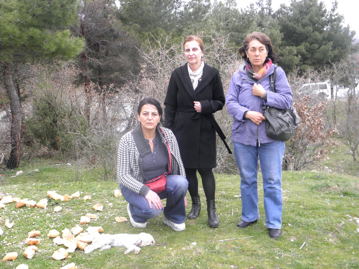 (Özel Haber) Aç Bırakılan Köpekler Yaşamak İçin Birbirlerini Yedi