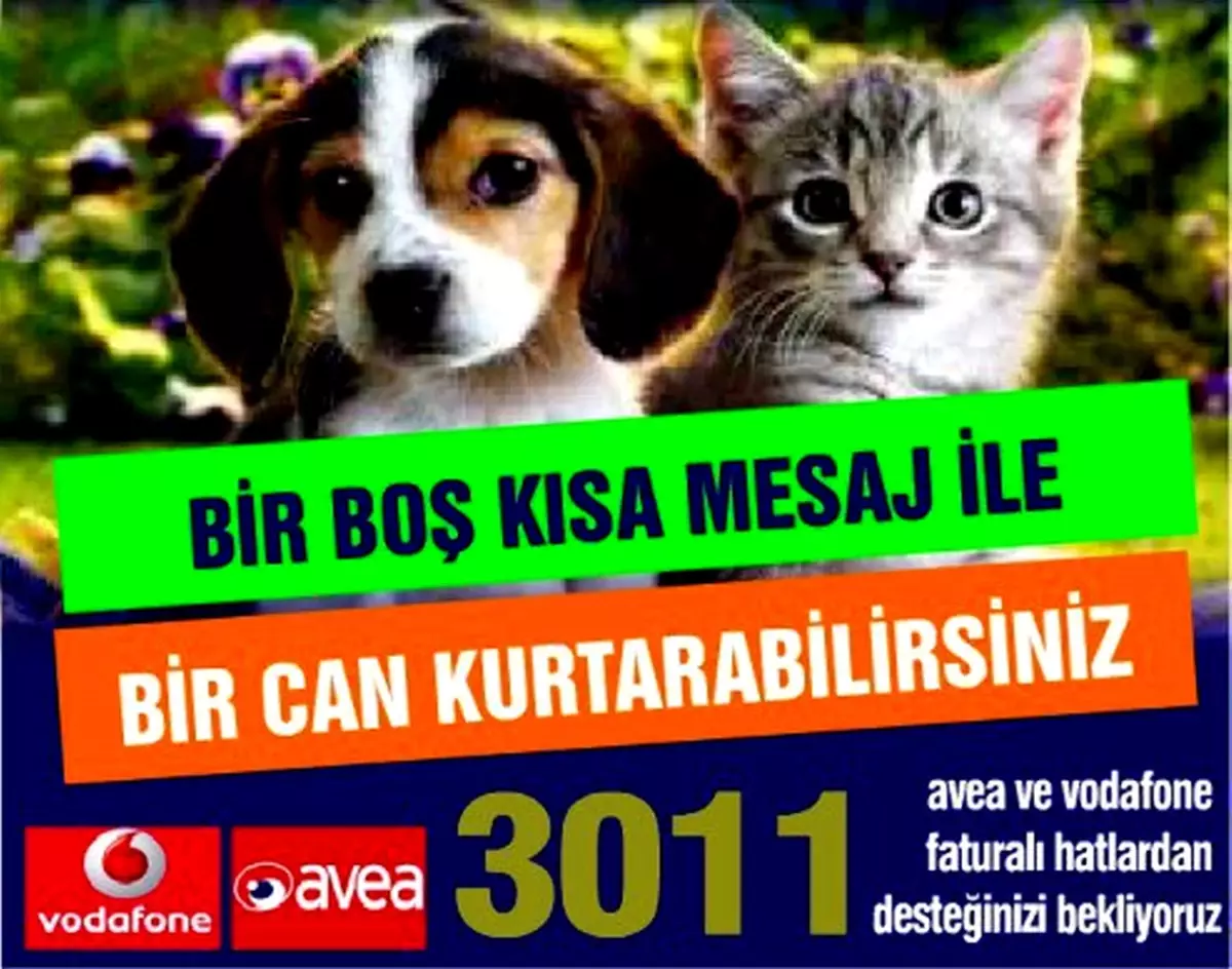 Hayvanların da Bir Mesaj Hattı Oldu