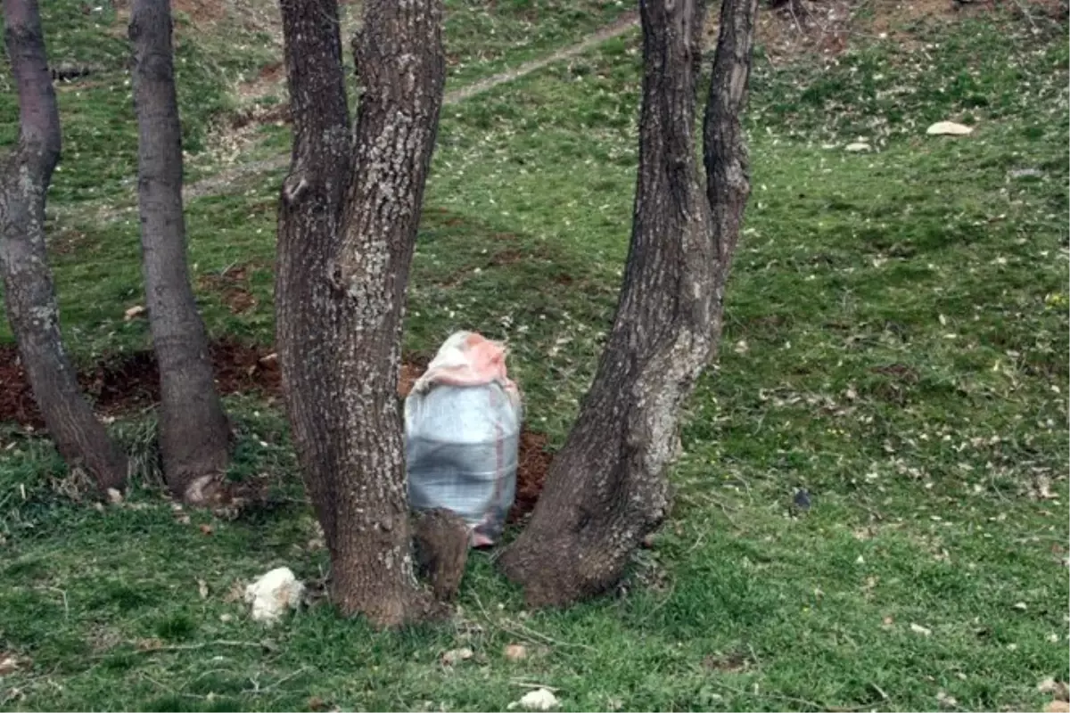 Şemdinli\'de Büyük Miktarda Patlayıcı Bulundu