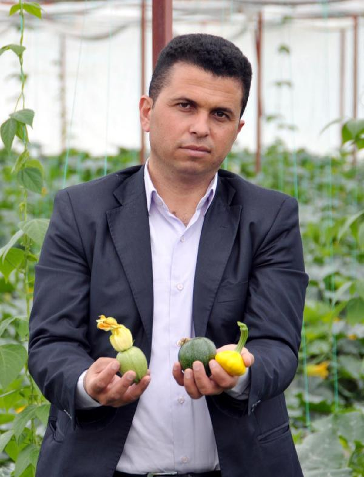 Uzun Kabağa Alternatif \'Siyah ve Sarı\' Kabak