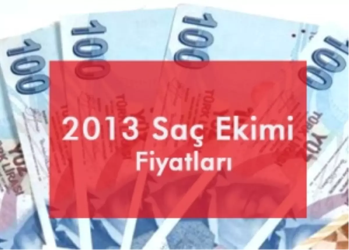 2013 Saç Ekimi Fiyatları