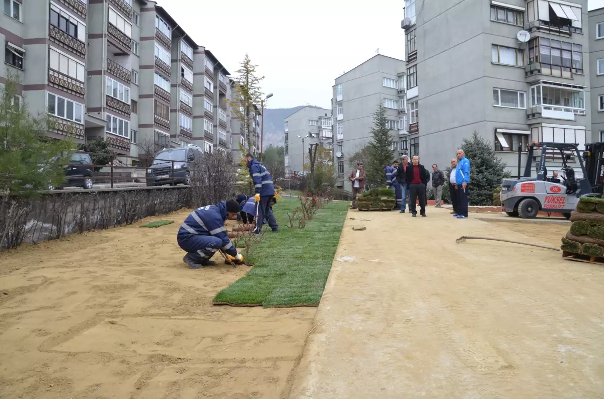 Belediyeden Yeşillendirme Çalışması