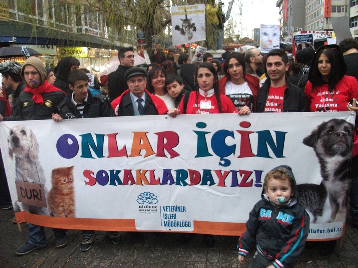 Bursalı Hayvanseverlerin Başkent Çıkartması