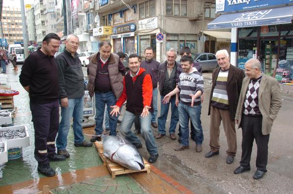 Dev Orkinos Görenleri Şaşırttı
