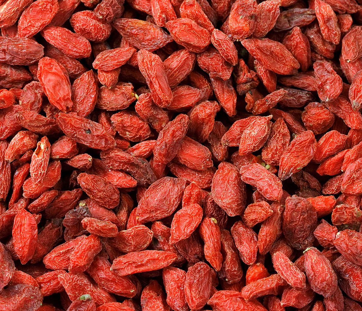 Doğu Asya Bitkisi Gojiberry Çankaya\'da da Yetişecek
