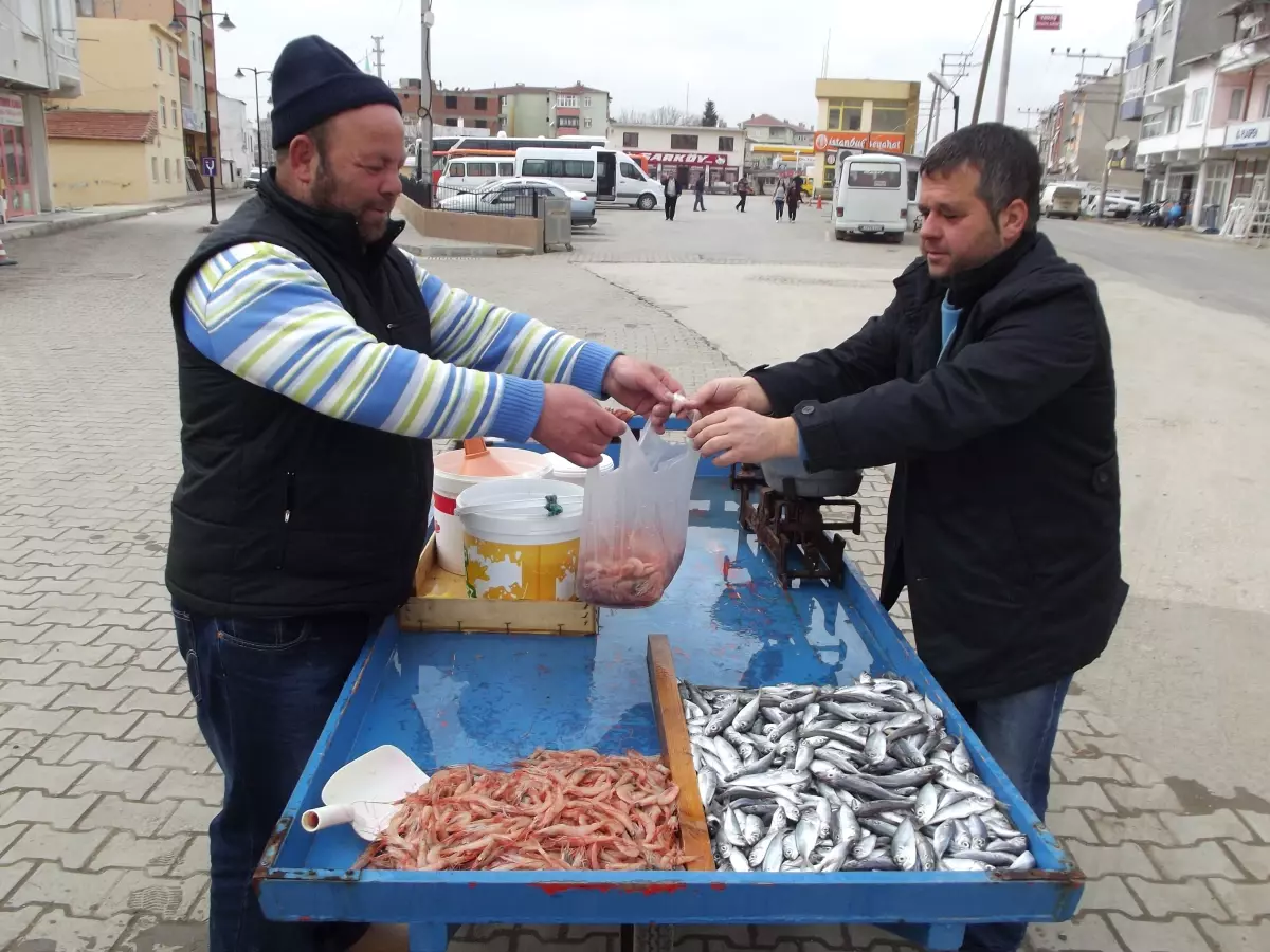 Şarköy\'de Karides Bolluğu