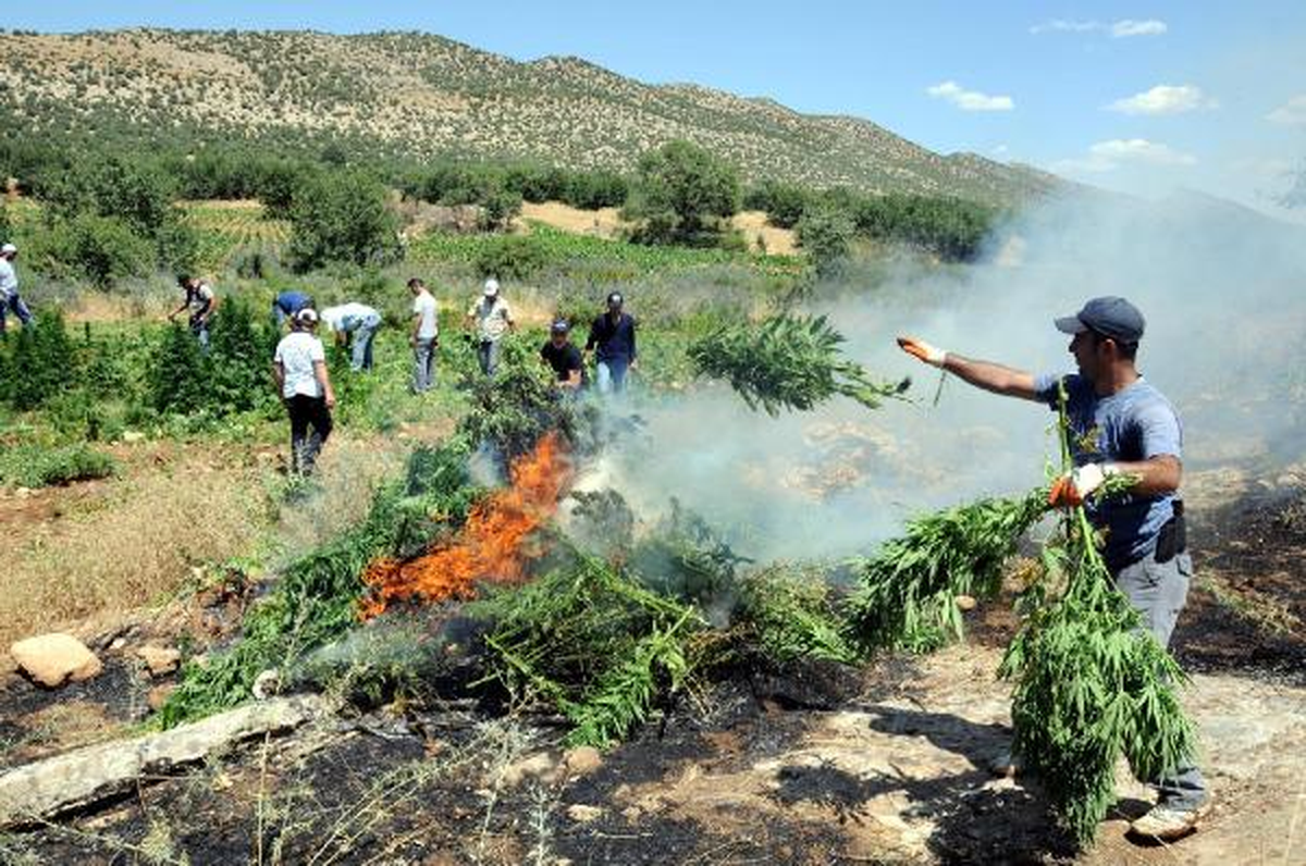 ABD Dışişleri Bakanlığı: Türkiye, Uyuşturucu ile Mücadelede Başarılı