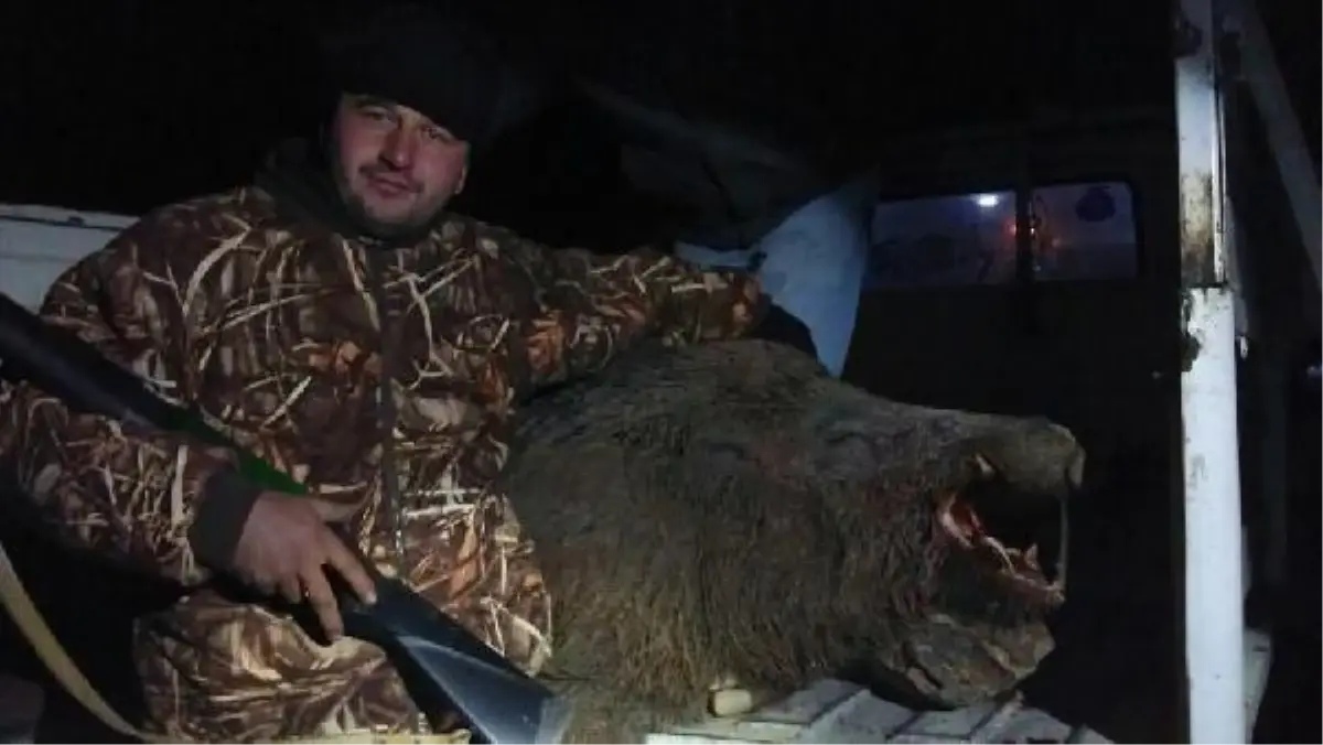 Avcıların Güvencesi Kangal Köpekleri