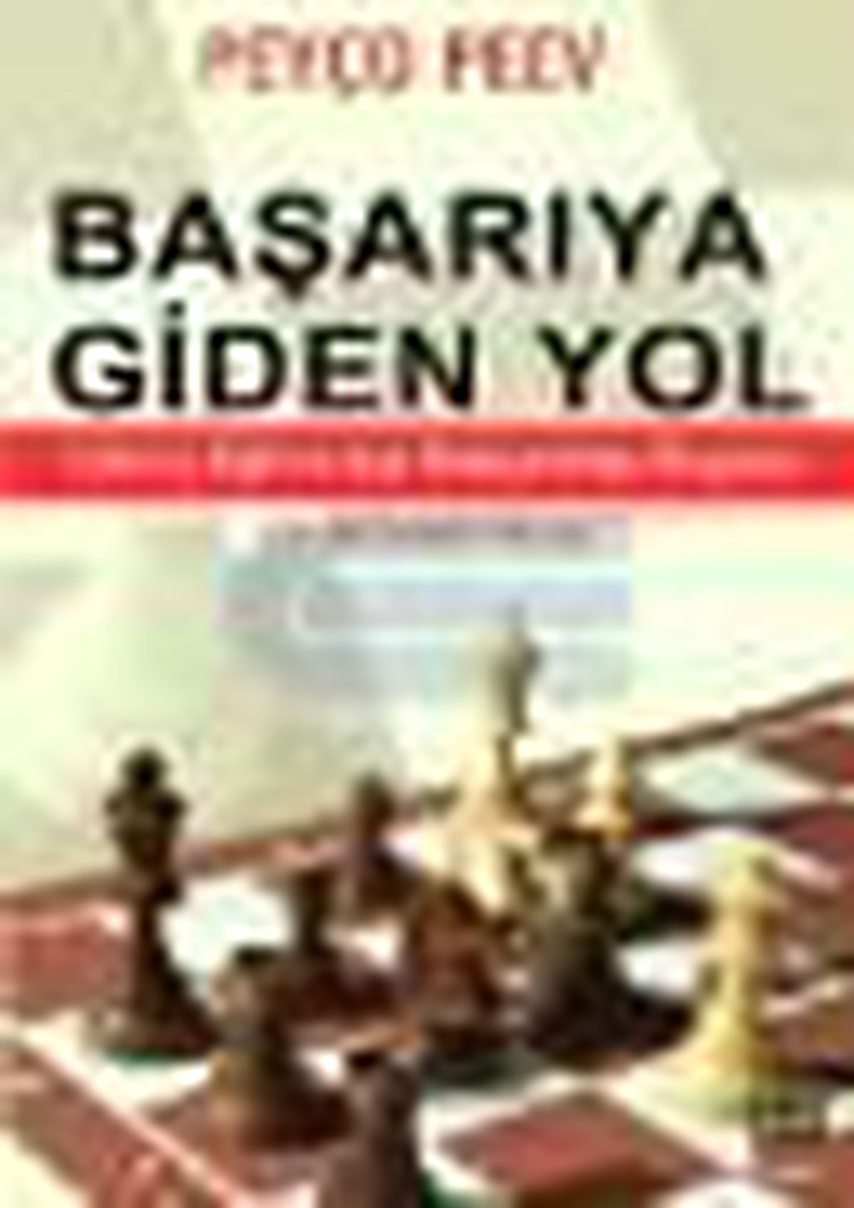 Başarıya Giden Yol Kitabı